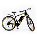 Electric bicycle - eBX